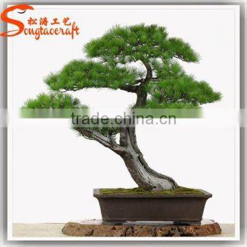 2015 Guangzhou Professional Supplier Make Artificial Pine Bonsai Tree for Sale photo-4