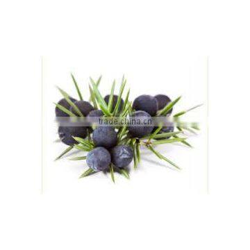 Juiper Berry Oil photo-3