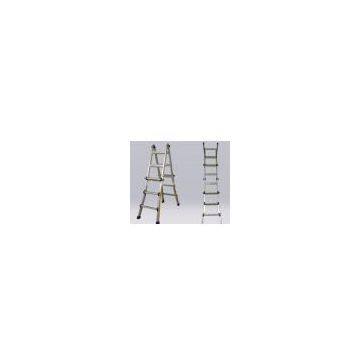 Multipurpose ladders