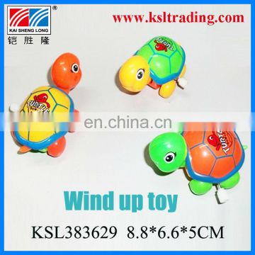 plastic toy wind up turtle