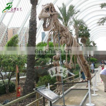 Garden decorative dinosaur skeleton