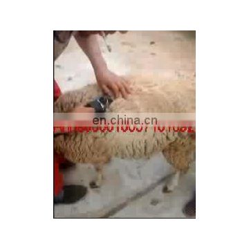 Best quality electric sheep shears/sheep wool clipper/ professional Cordless wool shears