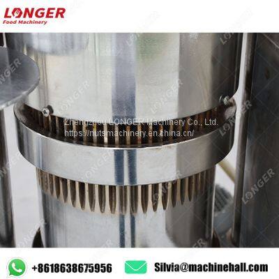 Automatic Cocoa Oil Press Machine Cocoa Press Machine for Sale photo-2