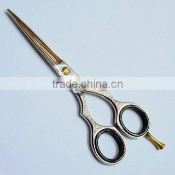 Hair Scissors 2013