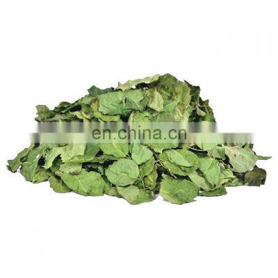 Dried Moringa Leaf From Vietnam photo-2