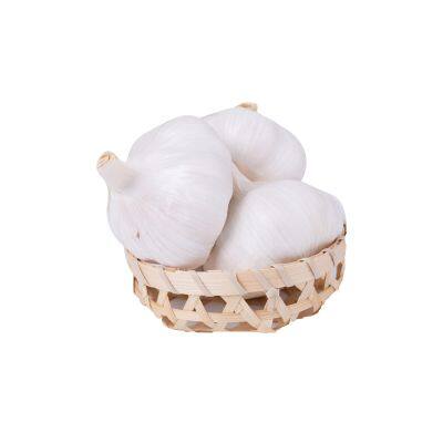 Fresh Garlic Fresh Vegetables