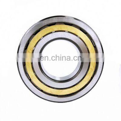 Good Price Cylindrical Roller Bearing NJ303 NUP303 NU303