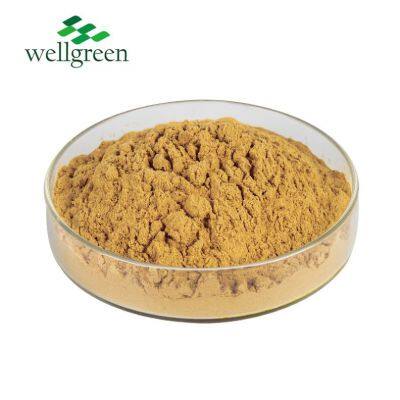 High Quality 100% Natural Supply Noni Fruit Extract Noni Fruit Enzyme Powder photo-2