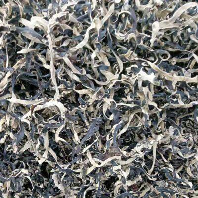 Fungus silk