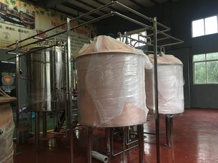 Commercial Craft Beer Brewing Equipment With Fermentation Tank photo-4