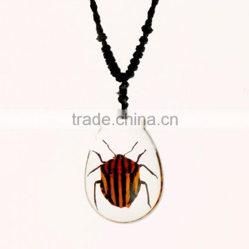 New fashion lovely necklace with real insect