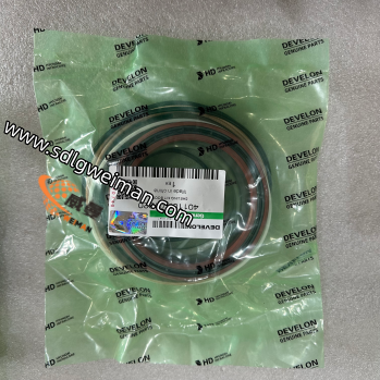 DOOSAN & DEVELON 401107-01220 SAELING KIT BOOM