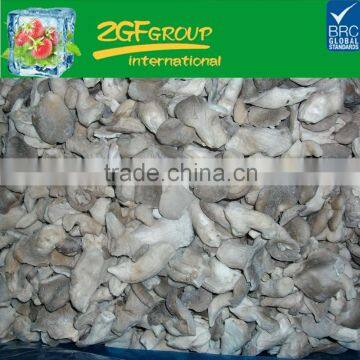 Chinese Grade A IQF Frozen Baby Oyster Mushroom photo-2