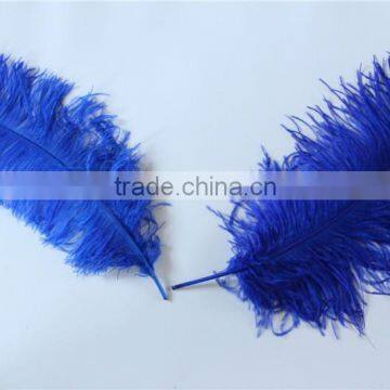 28"-30" Wholesale Bulk Blue Ostrich Feather For Wedding Table Decoration photo-6