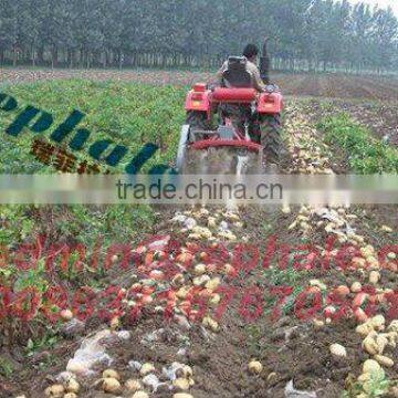 potato harvesting machine high output