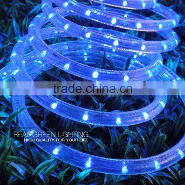 Direct Factory! 220V Cheap LED Rope Lights