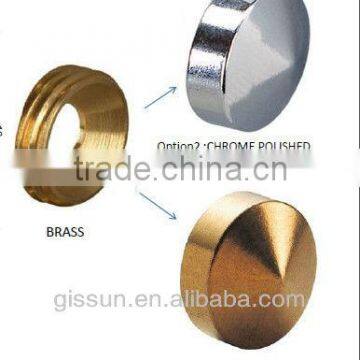 Chrome and brass polishing screw cover