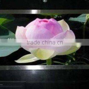 p5 indoor led display screen manufacturer's price