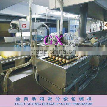 Full-Auto Egg Packing Processor