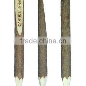 Promotion Twig Pen