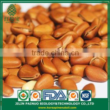 Supplier Organic Green Agriculture Siberian Open Pine Nuts in Shell