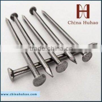 polished common nail building nails wire nail Smooth shanknails fasteners hebei