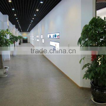 2015 Vogue Vivid Rectangle Reading Glasses photo-6