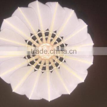 Class A Natural Goose Feather OEM Badminton Tournament Shuttlecock photo-3