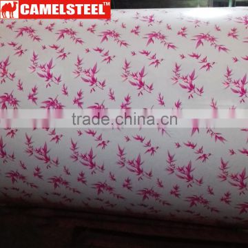 Customized Decorative Prepainted Galvanized Steel Coil