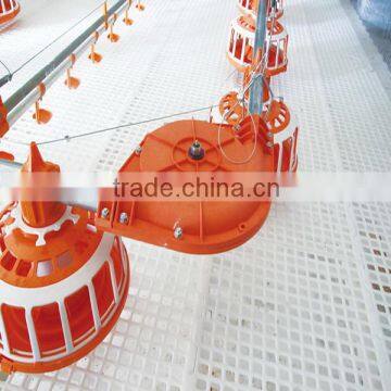 New Style Automatic Chicken Feeding System