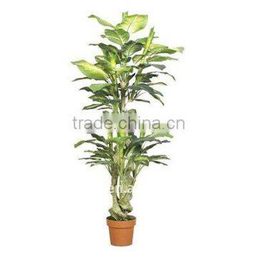 Artificial Dieffenbachia