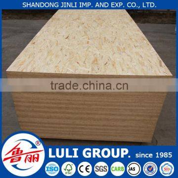 First grade osb from LuLi group