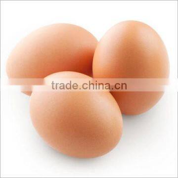 BROWN CHICKEN EGGS photo-2
