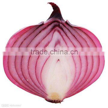 Fresh Red Onion from China