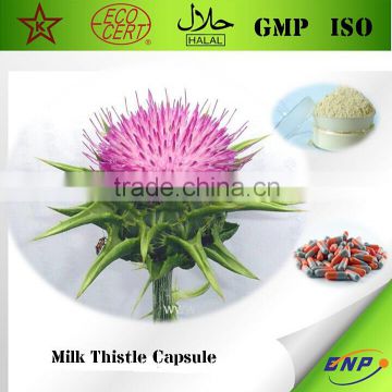 Top Sell High Quality Milk Thistle Capsule