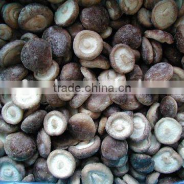 Whole & quarter Shiitake mushroom