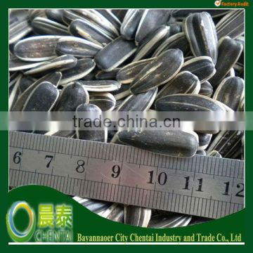 2014 new crop american type bulk black striped 5009 sunflower seed Price