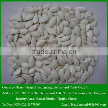 China Snow White Pumpkin Seeds With Great Taste for Your Snack