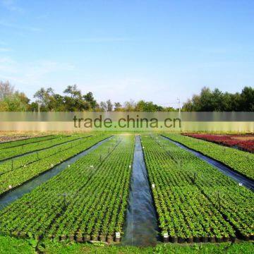 Plactic irrigation drip tape with high quality