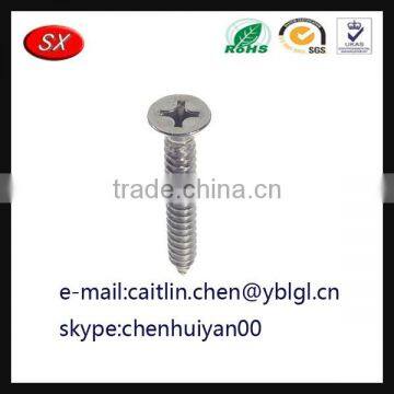 OEM Customized Galvanized Pan Head Screw photo-4