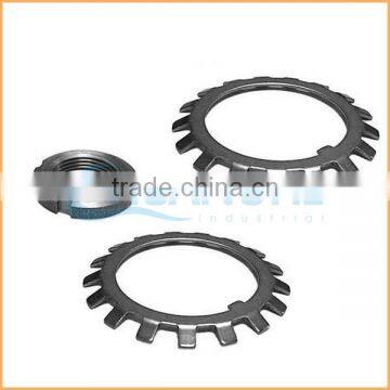 China Professional Manufacturing Spring Din127 Spring Lock Washer photo-4
