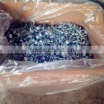 Hot-selling Polished Common Nails / Roofing Nails / Flat Head Nails photo-2
