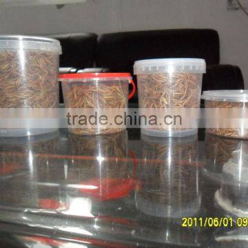 High Protein Poultry Treat Dried Mealworm photo-4