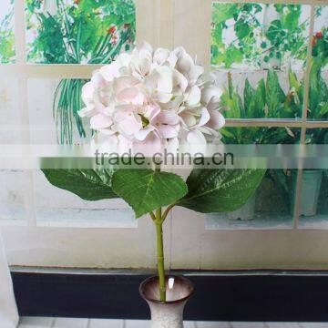 Lastest Design Factory Making Artificial Dried Flower Hydrangea photo-3