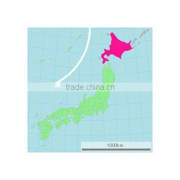 Niseko Resort Land for Sale , Real Estate , Ski Resort photo-4