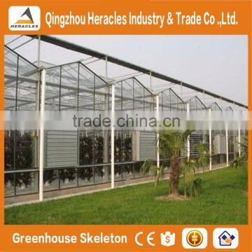 Hot Sale Trade Assurance Factory Price Multi Span Venlo Type Glass Greenhous for Vegetables