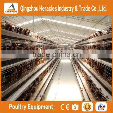 Factory price automatic layer cage for sale