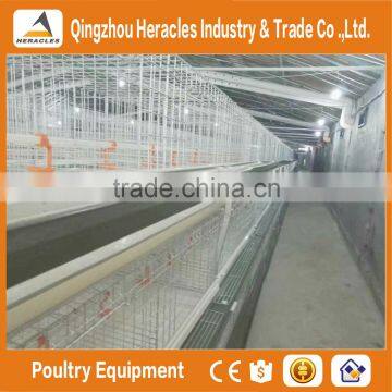 China factory price  trade assurance chicken poultry farm equipment layer cage
