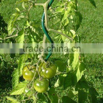 Iron Tomato Spiral for Plant Support photo-6