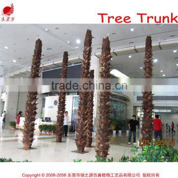 Outdoor Indoor Project Coconut Palm Tree photo-2